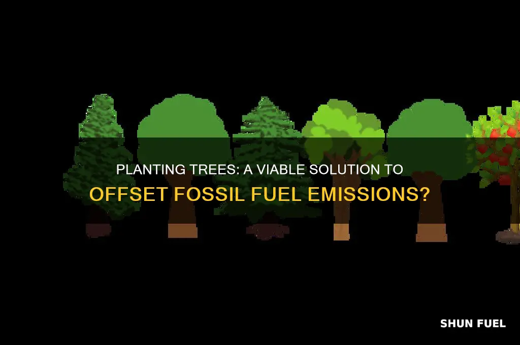 can we plant trees to offset fossil fuels