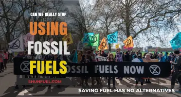 Ending Fossil Fuel Dependence: A Realistic Path or Distant Dream?