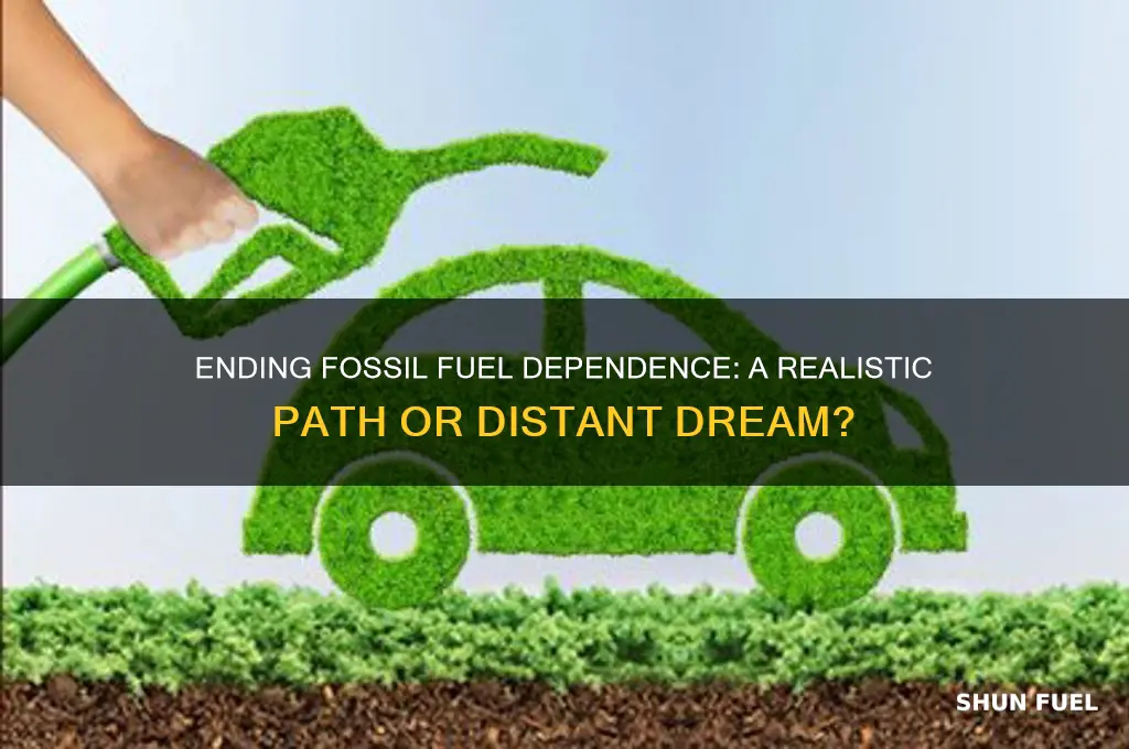 can we really stop using fossil fuels