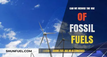 How Can We Reduce Our Dependence on Fossil Fuels?