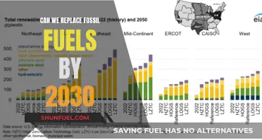 Renewable Energy: Can We Leave Fossil Fuels Behind by 2030?
