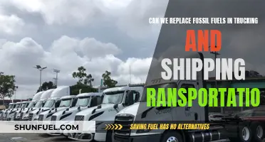 Trucking and Shipping: Beyond Fossil Fuels?