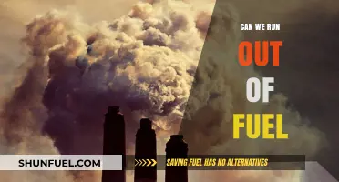 Are We Facing a Fuel Crisis? Exploring the Depletion Dilemma