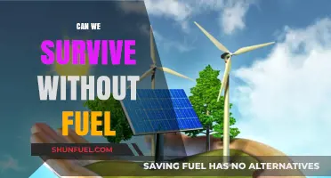 Surviving Without Fuel: Exploring Alternatives for a Sustainable Future