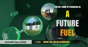Hydrogen's Potential: A Clean, Sustainable Future Fuel?