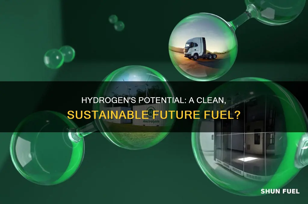 can we think of hydrogen as a future fuel