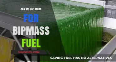 Harnessing Algae: A Sustainable Biomass Fuel Alternative for the Future