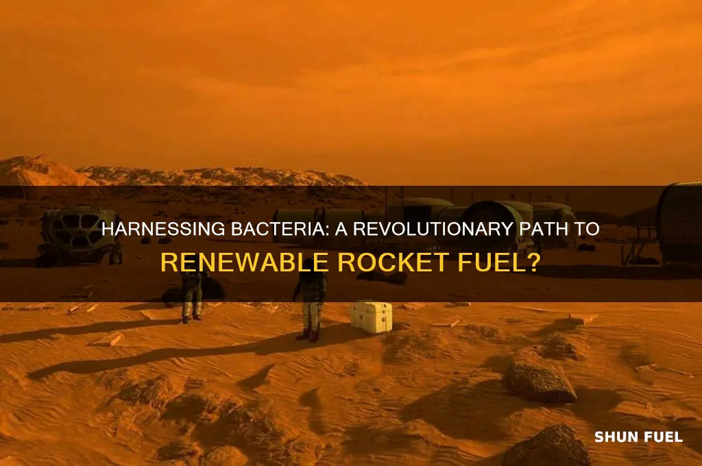 can we use bacteria to make renewable rocket fuel