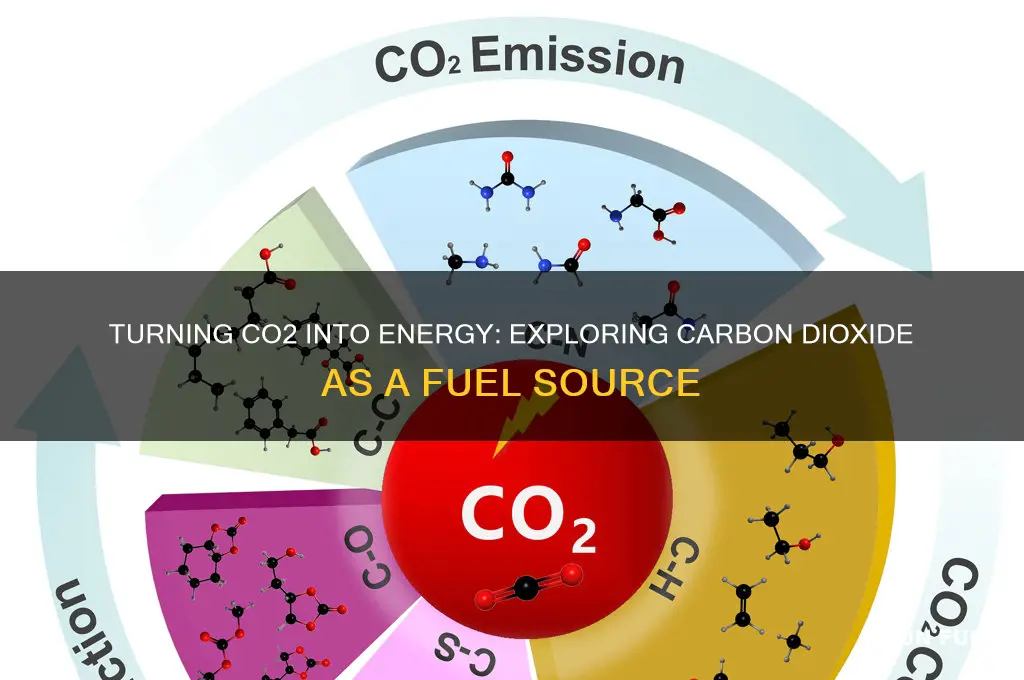 can we use carbon dioxide as fuel