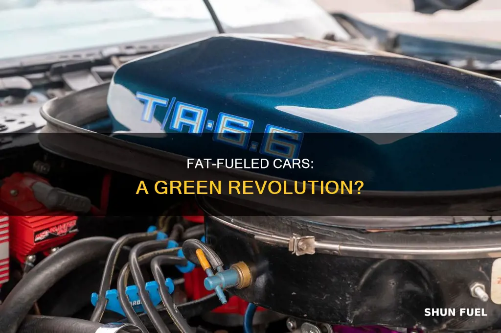 can we use fat to fuel the car