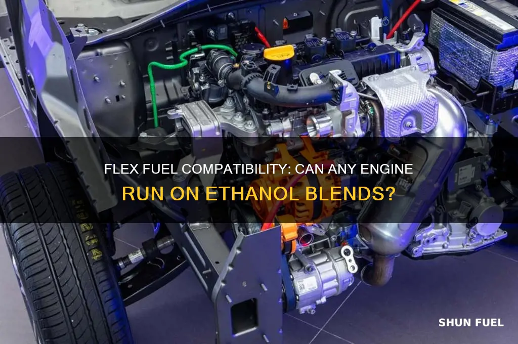 can we use flex fuel for any engine