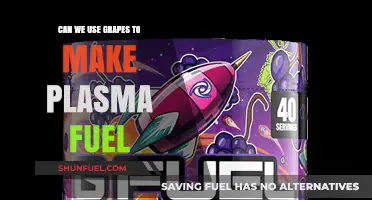 Grapes to Plasma Fuel: Exploring Unconventional Energy Possibilities