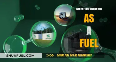 Hydrogen Fuel: Clean Energy Solution or Future Fantasy?