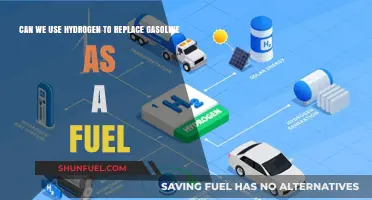 Hydrogen's Promise: A Sustainable Gasoline Alternative?