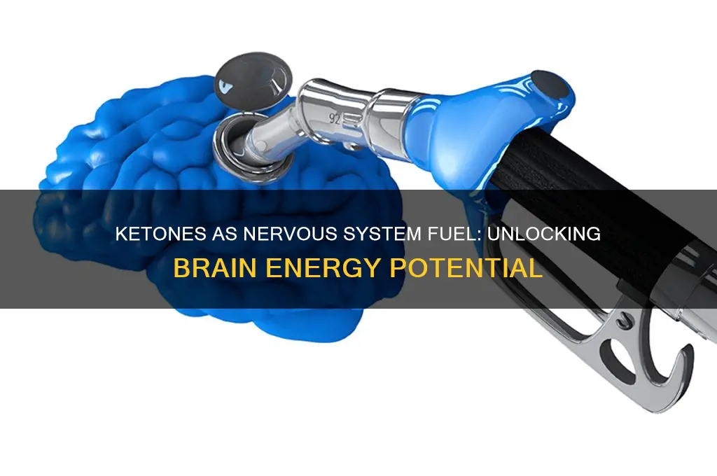 can we use ketones to fuel nervous system