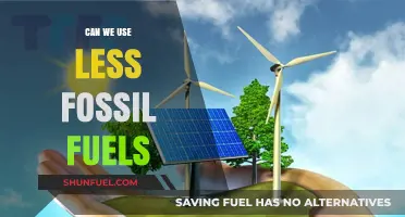 Reducing Fossil Fuel Dependence: Sustainable Alternatives for a Greener Future