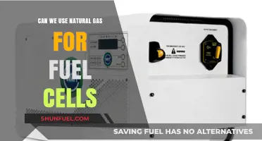 Natural Gas in Fuel Cells: A Viable Energy Alternative?