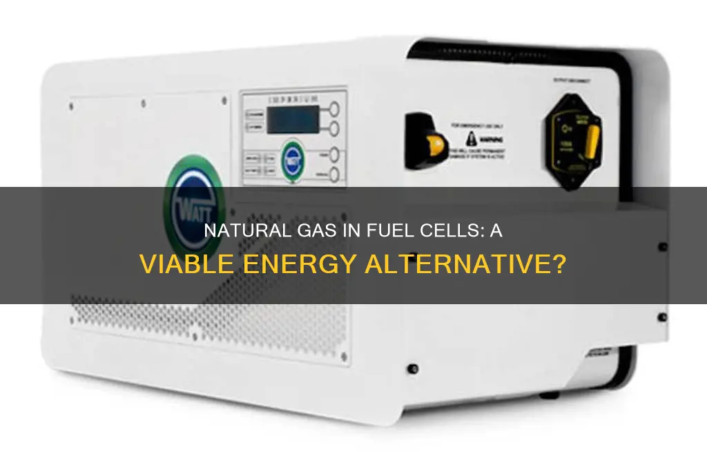 can we use natural gas for fuel cells