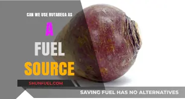 Rutabaga as Fuel: Exploring Alternative Energy Potential and Feasibility