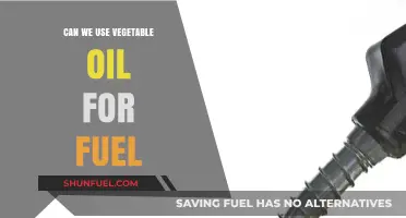 Vegetable Oil as Fuel: A Sustainable Alternative for Energy Needs?