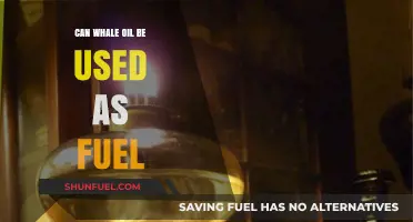 Whale Oil as Fuel: A Viable Energy Alternative or Outdated Practice?
