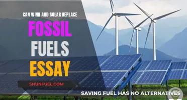 Wind and Solar: The Future Beyond Fossil Fuels