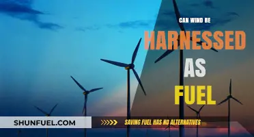 Harnessing Wind Power: A Sustainable Fuel Alternative for the Future