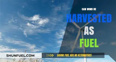 Harvesting Wind Power: Exploring Renewable Energy Potential as Fuel Source