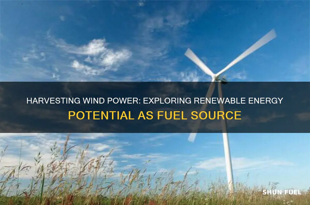can wind be harvested as fuel