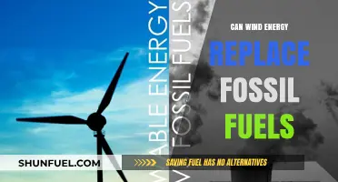 Wind Energy: A Viable Alternative to Fossil Fuels?