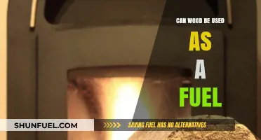Wood as Fuel: Sustainable Energy Source or Environmental Concern?