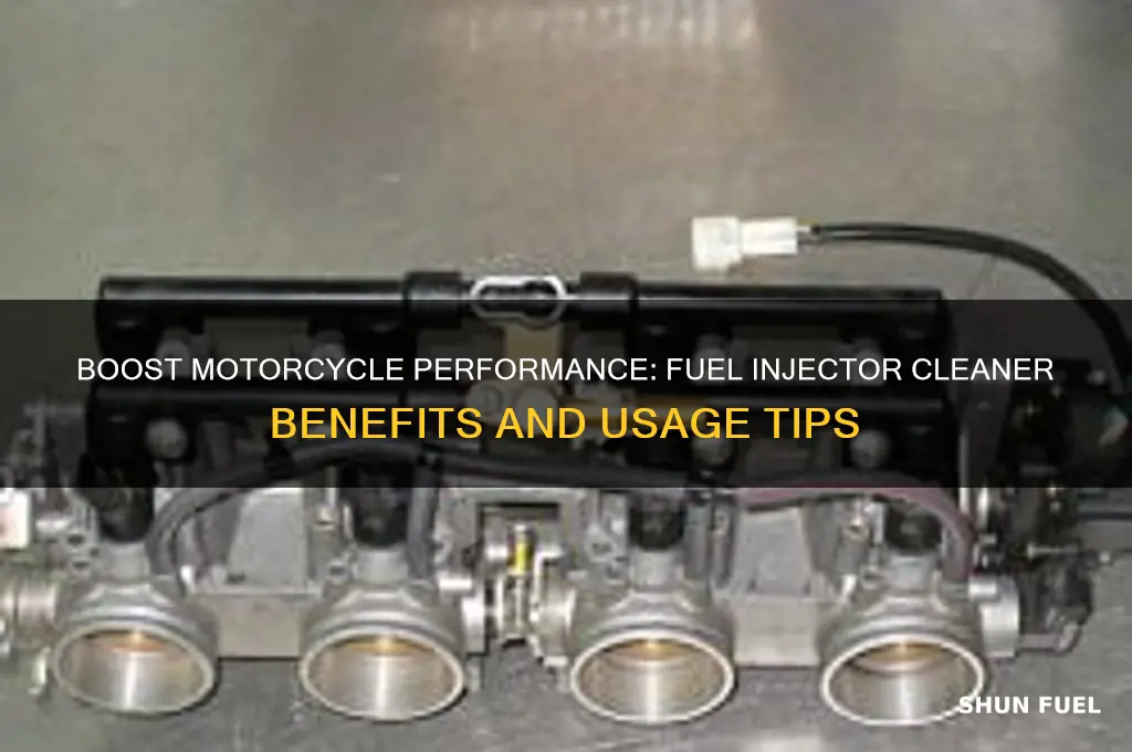 can you add fuel injector cleaner to motorcycle