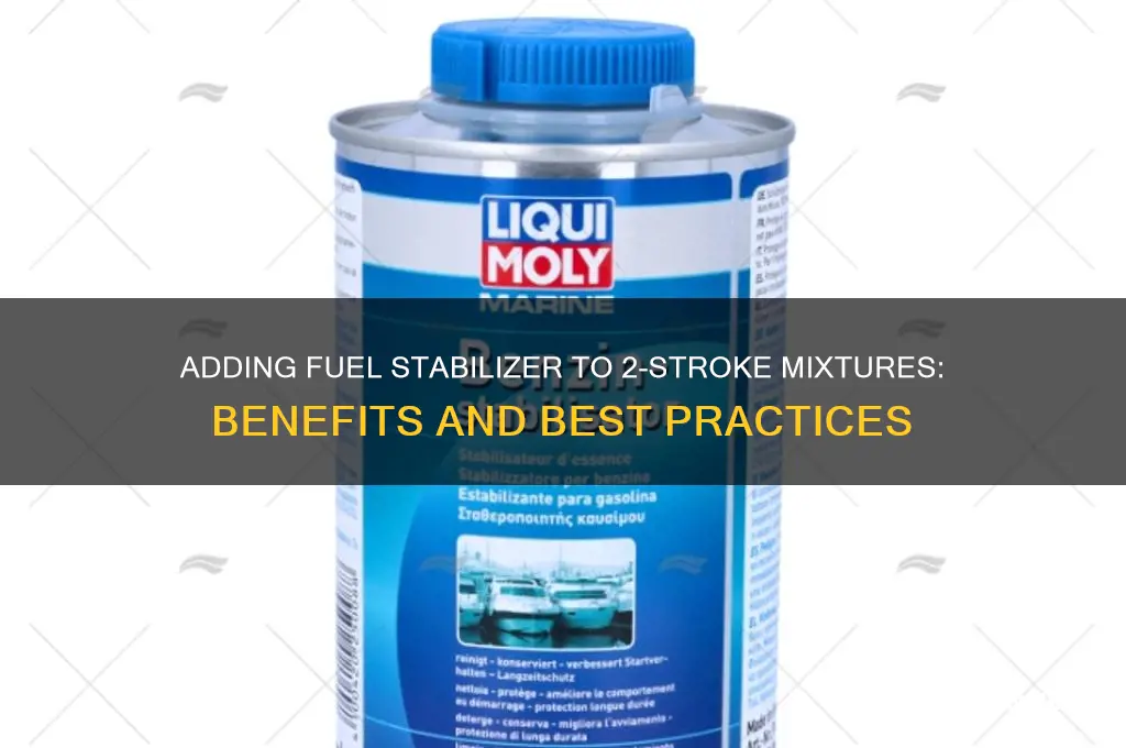can you add fuel stabilizer to 2 stroke fuel mixtures