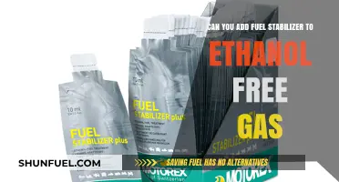 Ethanol-Free Gas and Fuel Stabilizer: A Compatible Preservation Solution?