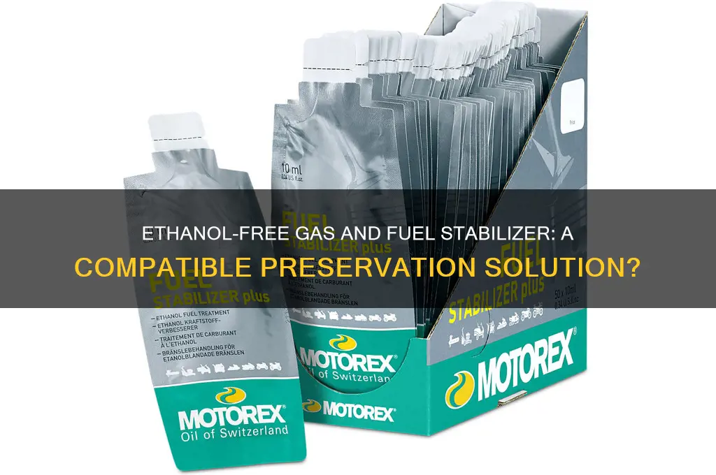 can you add fuel stabilizer to ethanol free gas