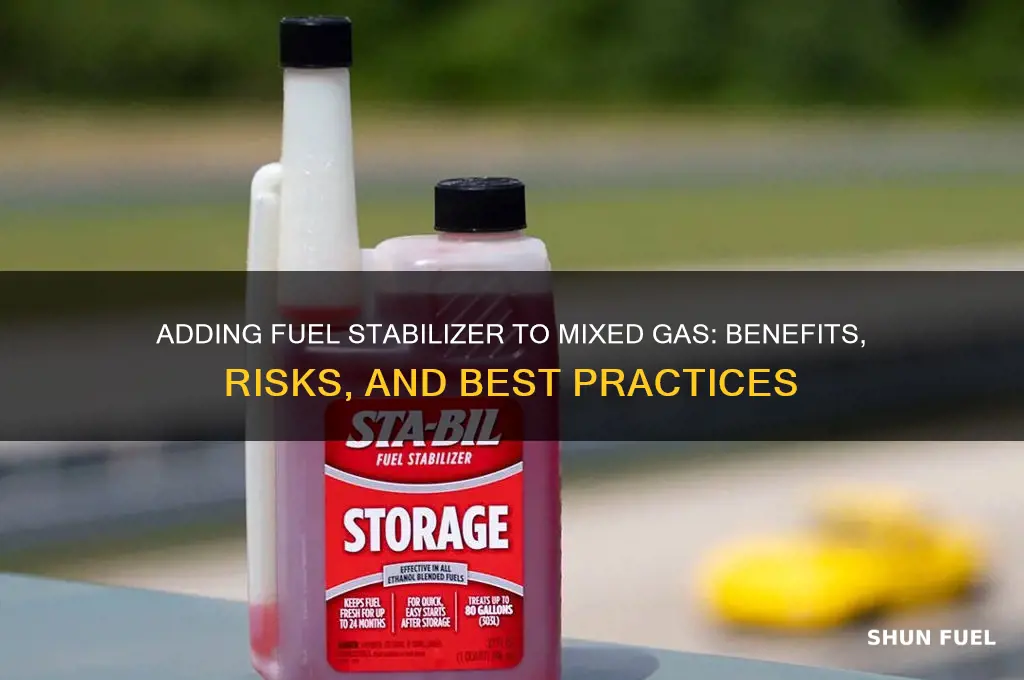 can you add fuel stabilizer to mixed gas
