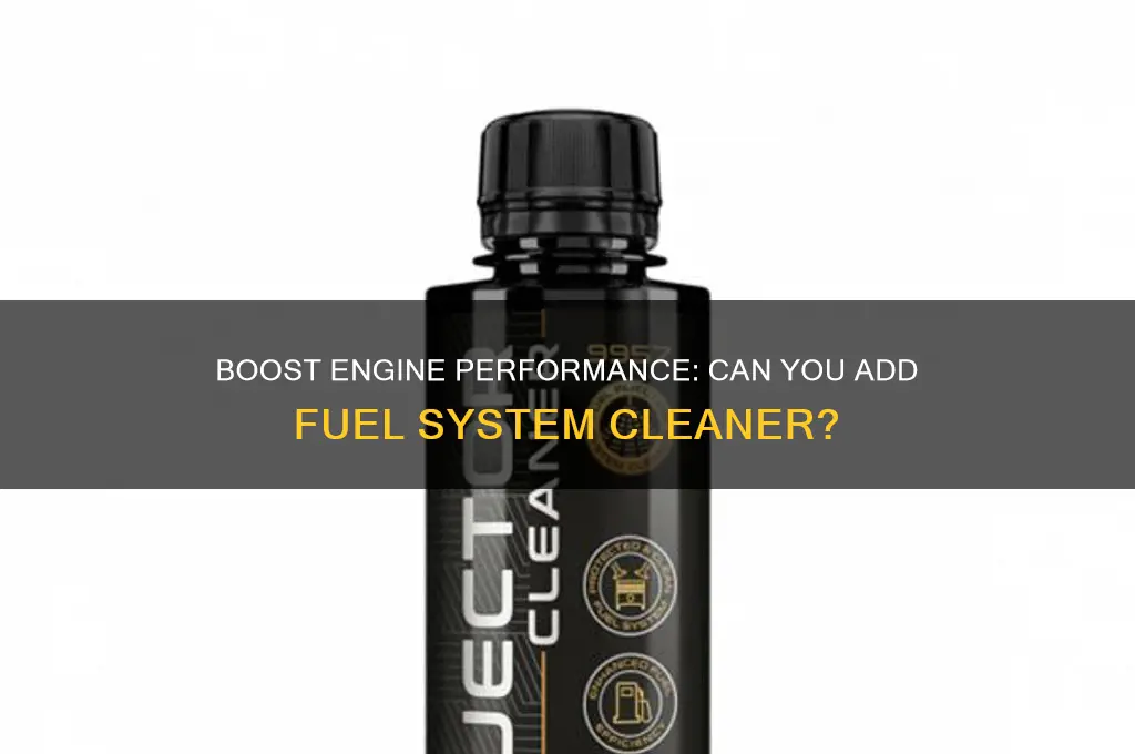 can you add fuel system cleaner