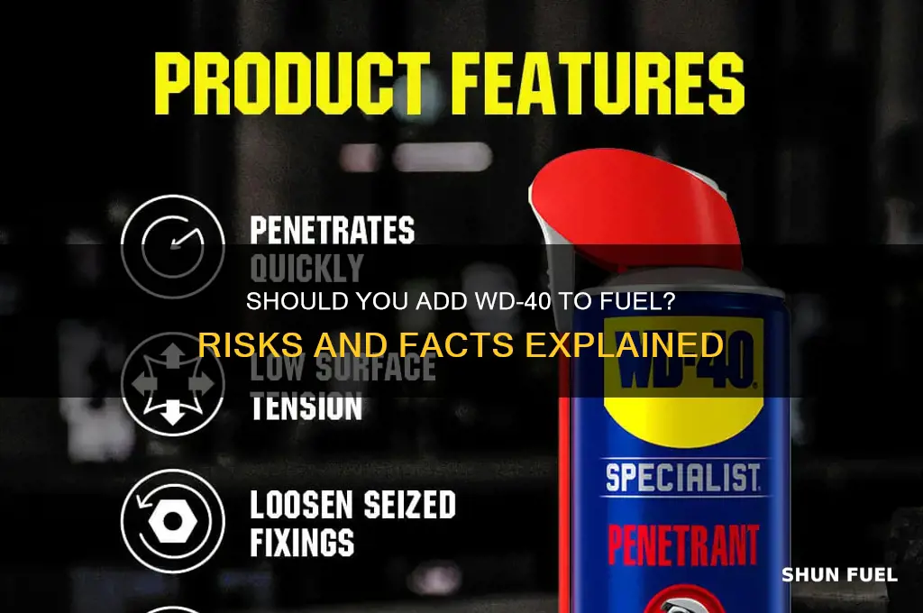 can you add wd40 to fuel