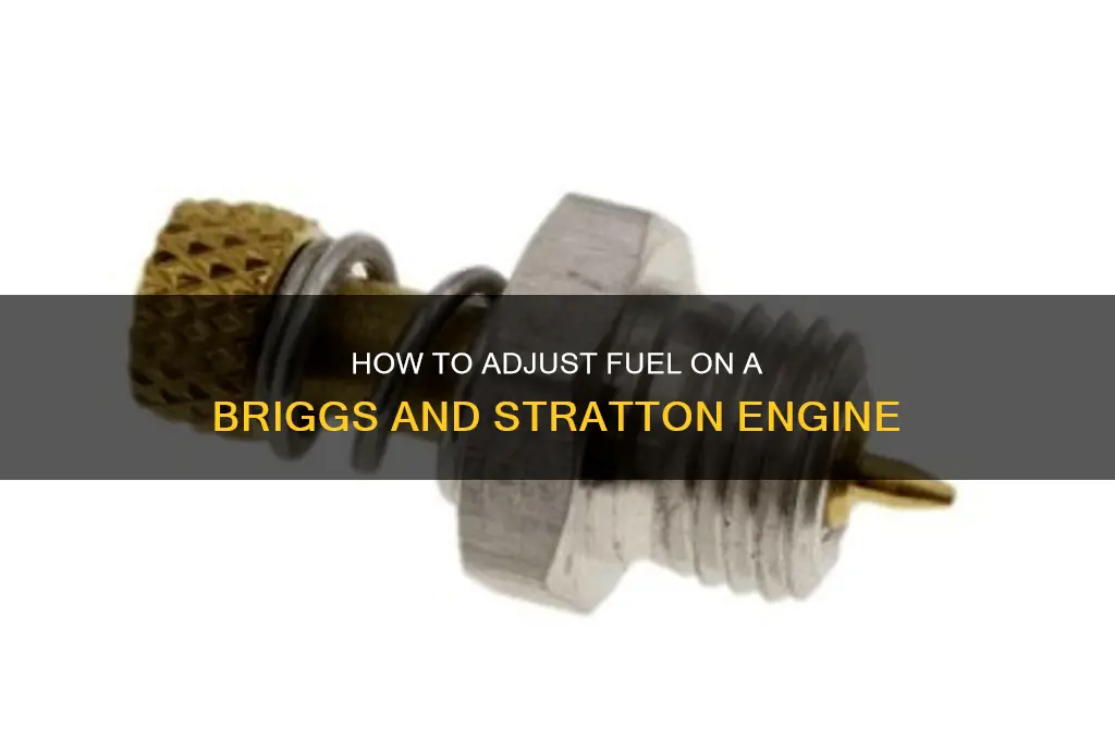 can you adjust fuel on a briggs and stratton