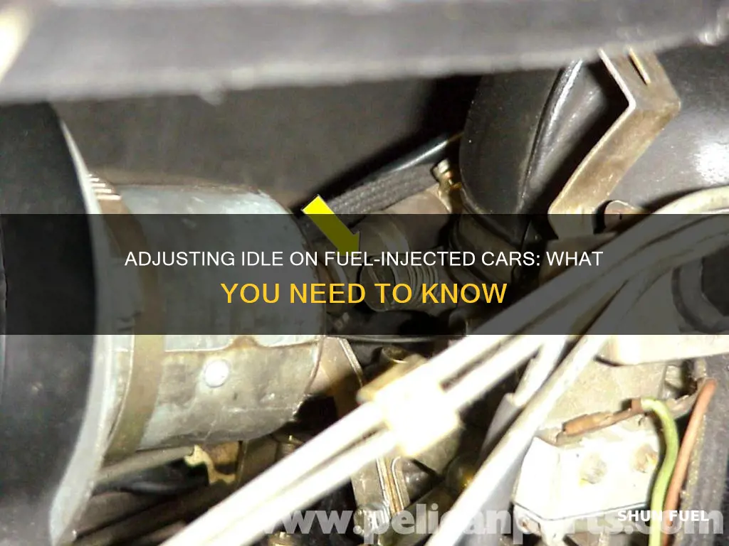 can you adjust the idle on a fuel injected car