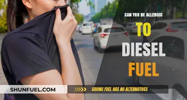 Diesel Fuel Allergies: What You Need to Know