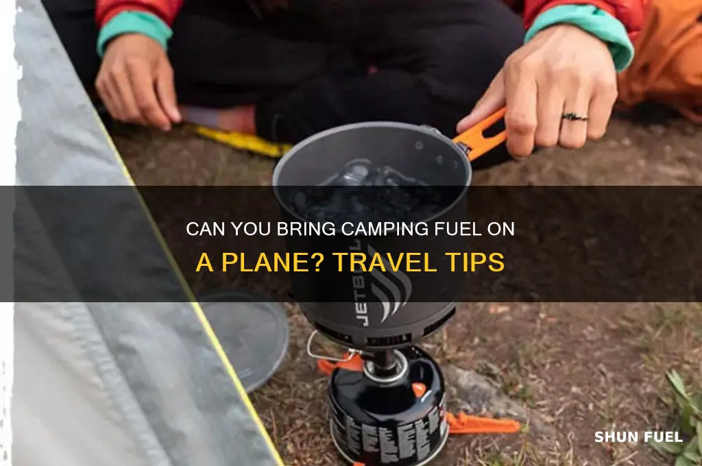 can you bring camping fuel on a plane