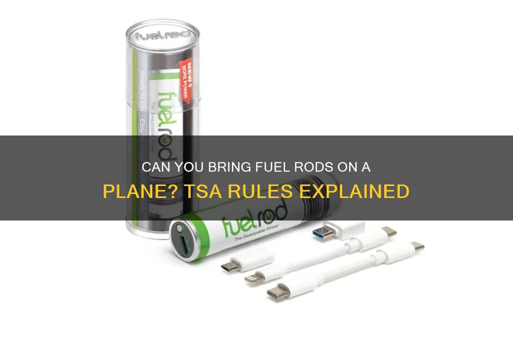 can you bring fuel rods on a plane