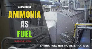 Burning Ammonia: A Viable Alternative Fuel Source for the Future?