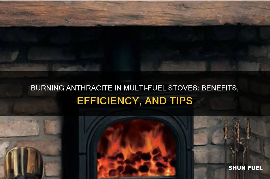 can you burn anthracite in a multi fuel stove