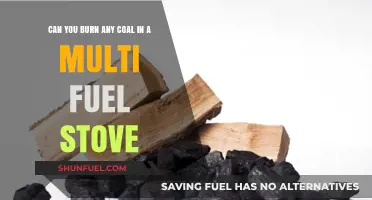 Multi-Fuel Stove Coal Guide: What Types Can You Safely Burn?