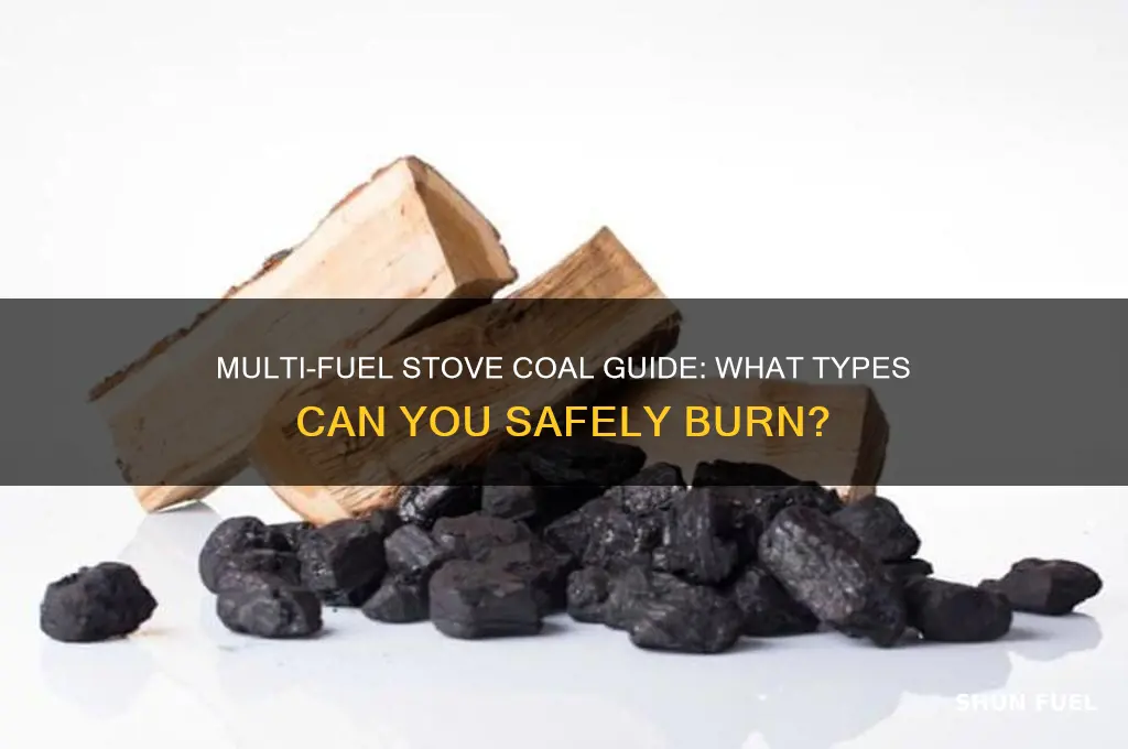 can you burn any coal in a multi fuel stove