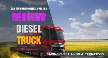 Can Regular Diesel Trucks Run on Biodiesel Fuel?