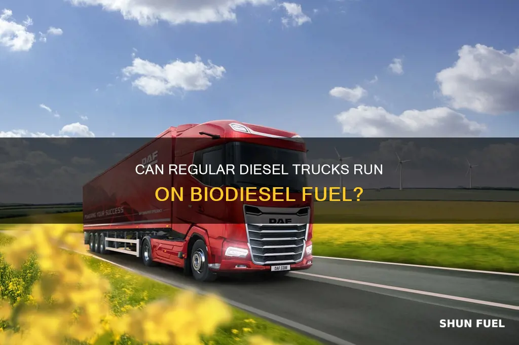 can you burn biodiesel fuel in a regular diesel truck