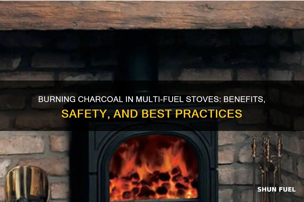 can you burn charcoal in a multi fuel stove